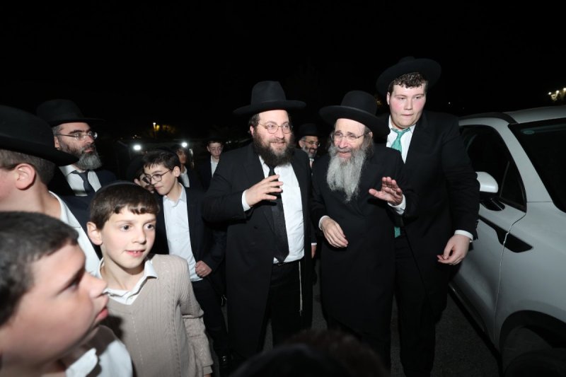 דוד ארזני