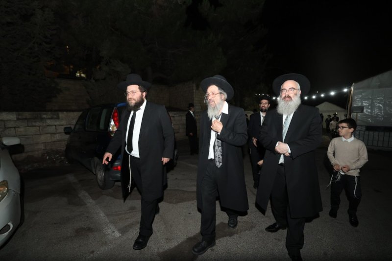 דוד ארזני