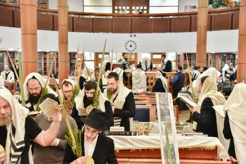 לוי נזארוב