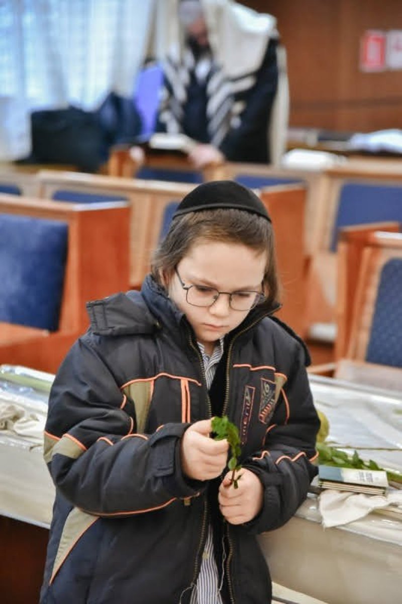 לוי נזארוב