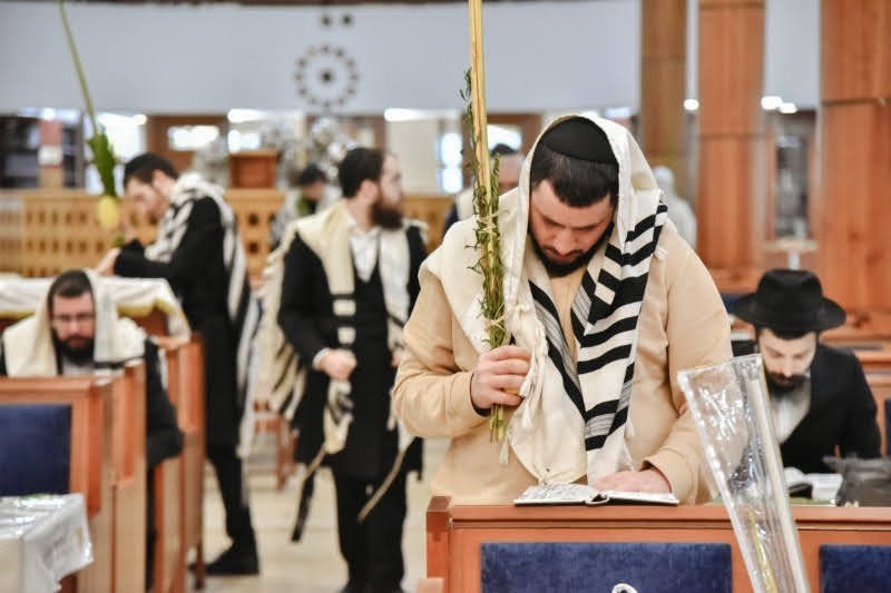 לוי נזארוב