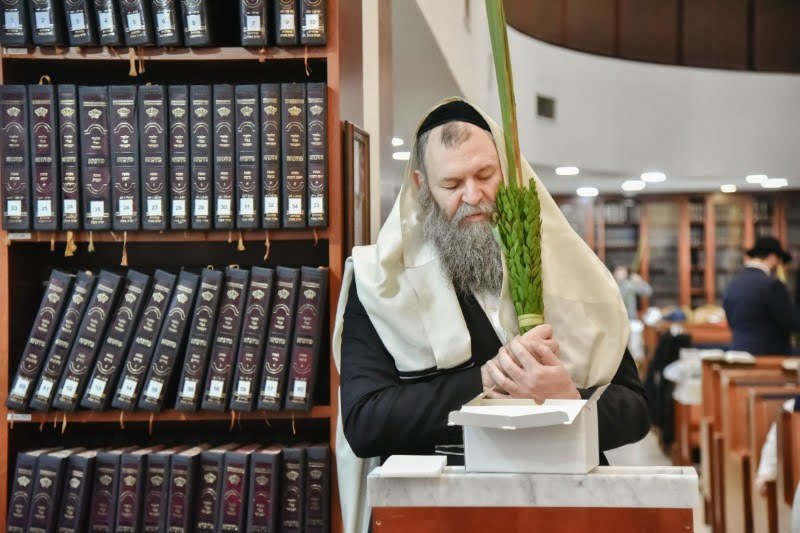 לוי נזארוב