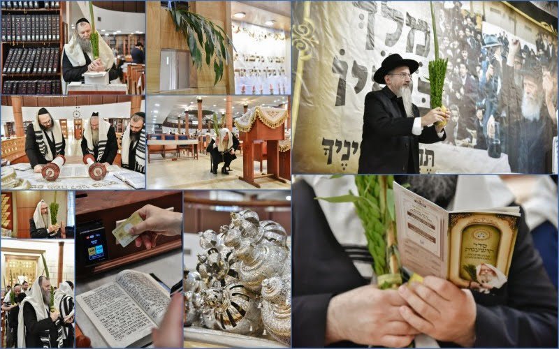 לוי נזארוב