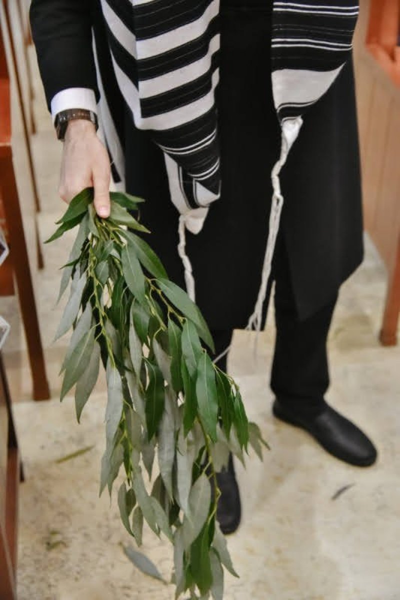 לוי נזארוב