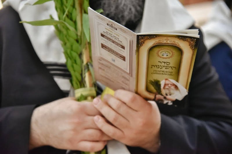 לוי נזארוב