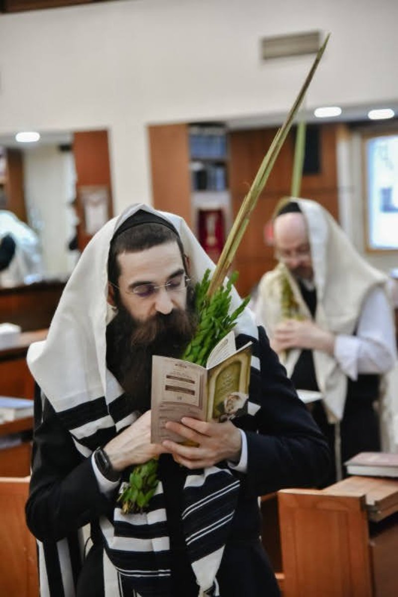 לוי נזארוב