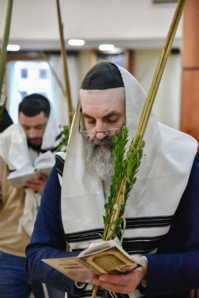 לוי נזארוב