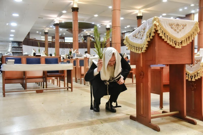 לוי נזארוב