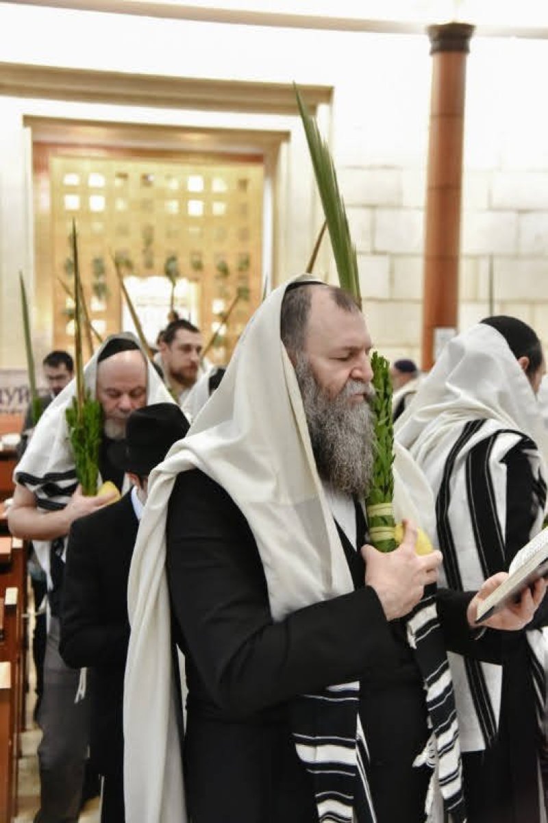 לוי נזארוב