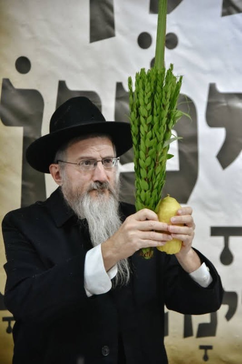 לוי נזארוב