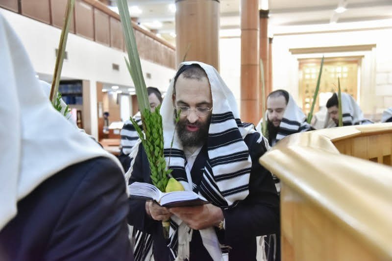 לוי נזארוב