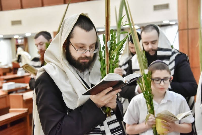 לוי נזארוב