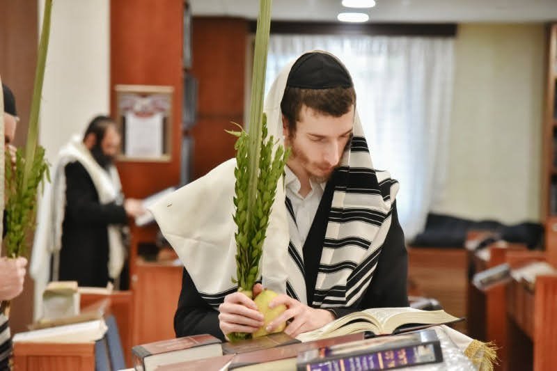 לוי נזארוב