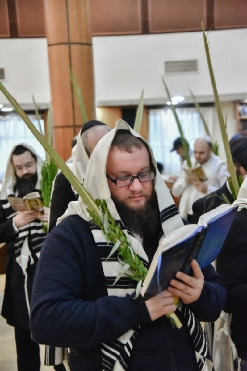 לוי נזארוב