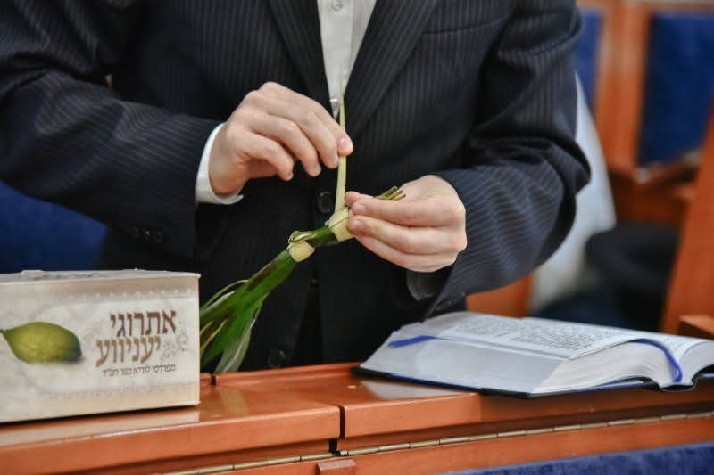 לוי נזארוב