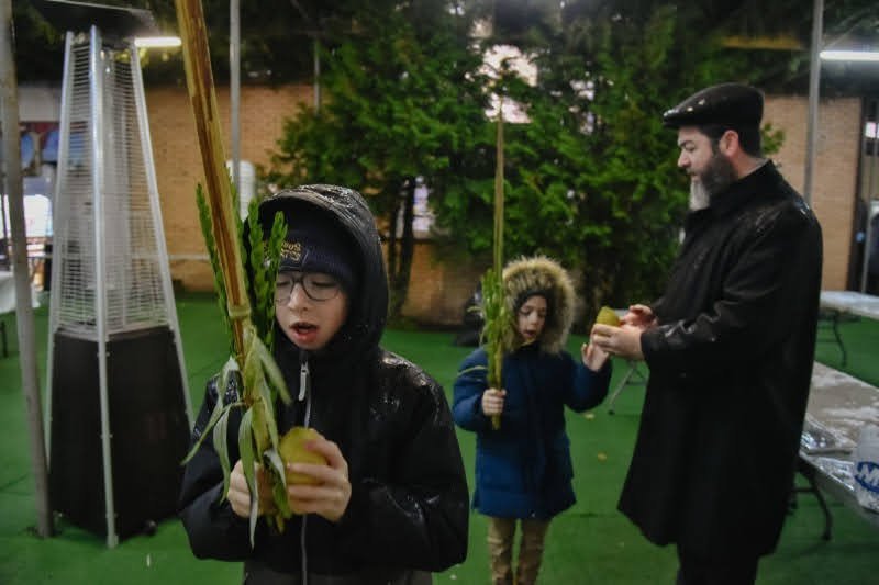 לוי נזארוב