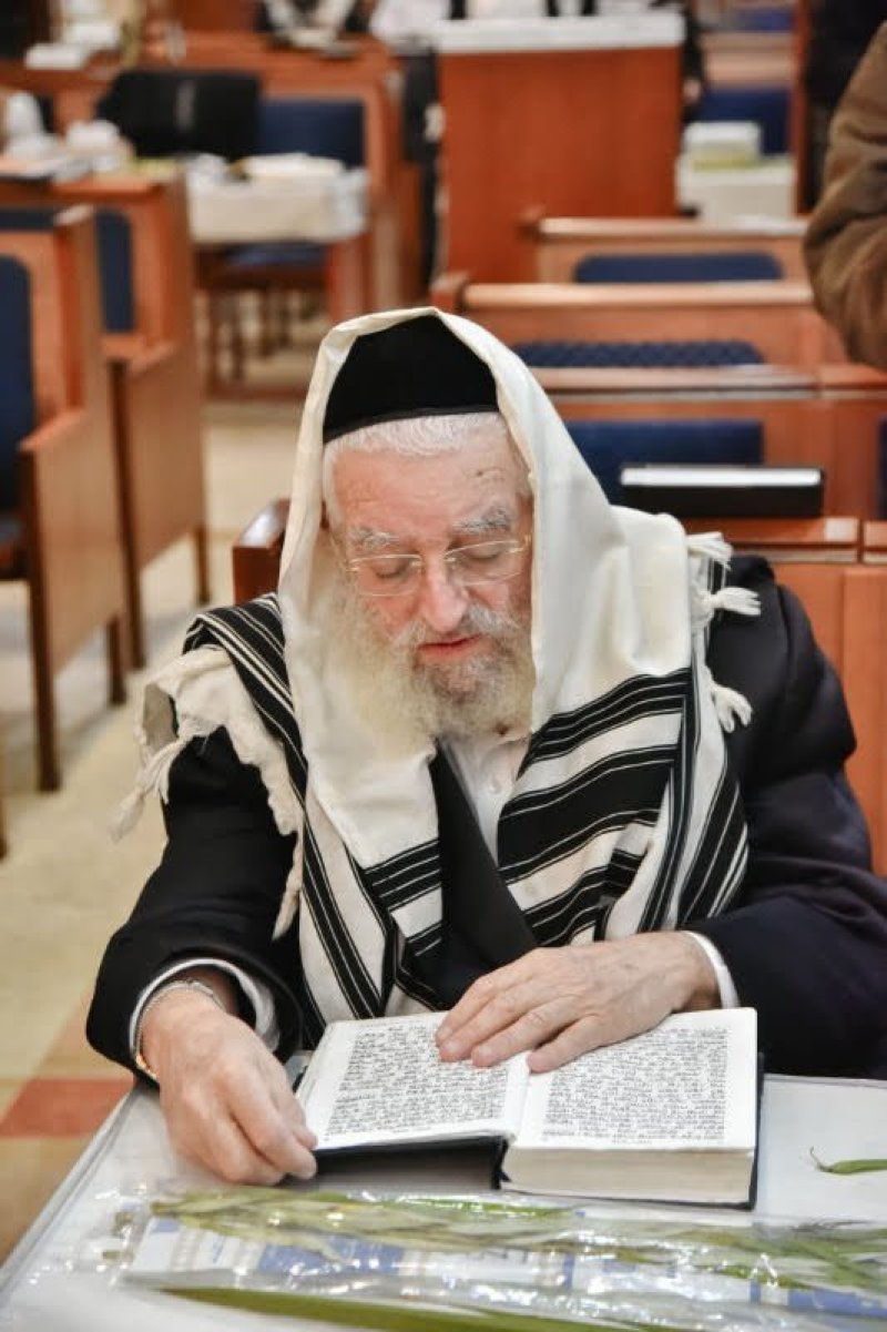 לוי נזארוב