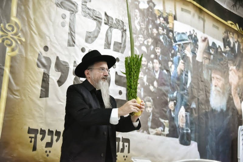 לוי נזארוב