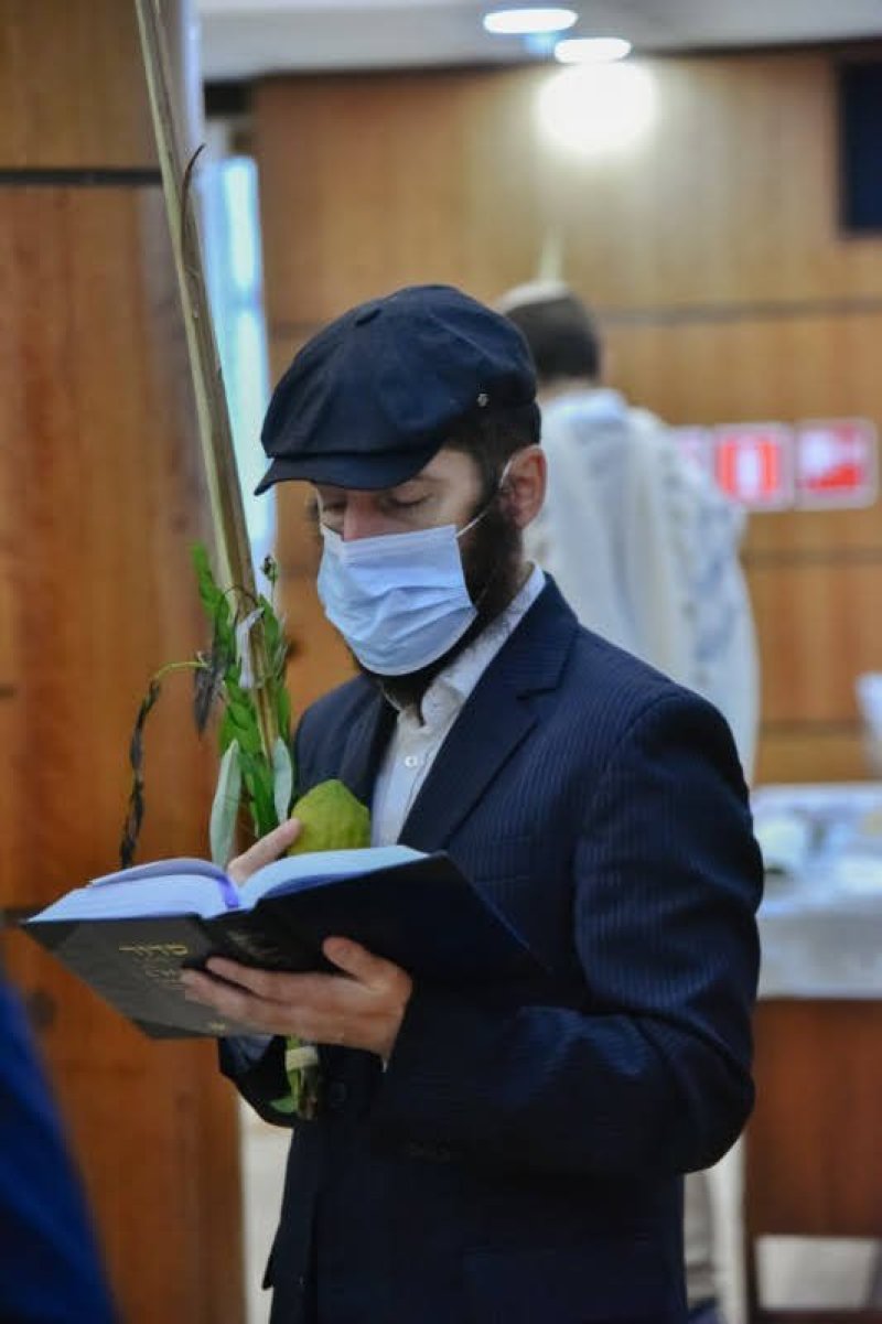 לוי נזארוב