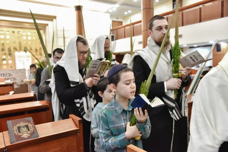 לוי נזארוב