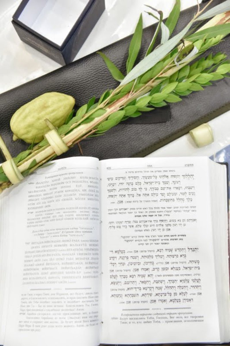 לוי נזארוב