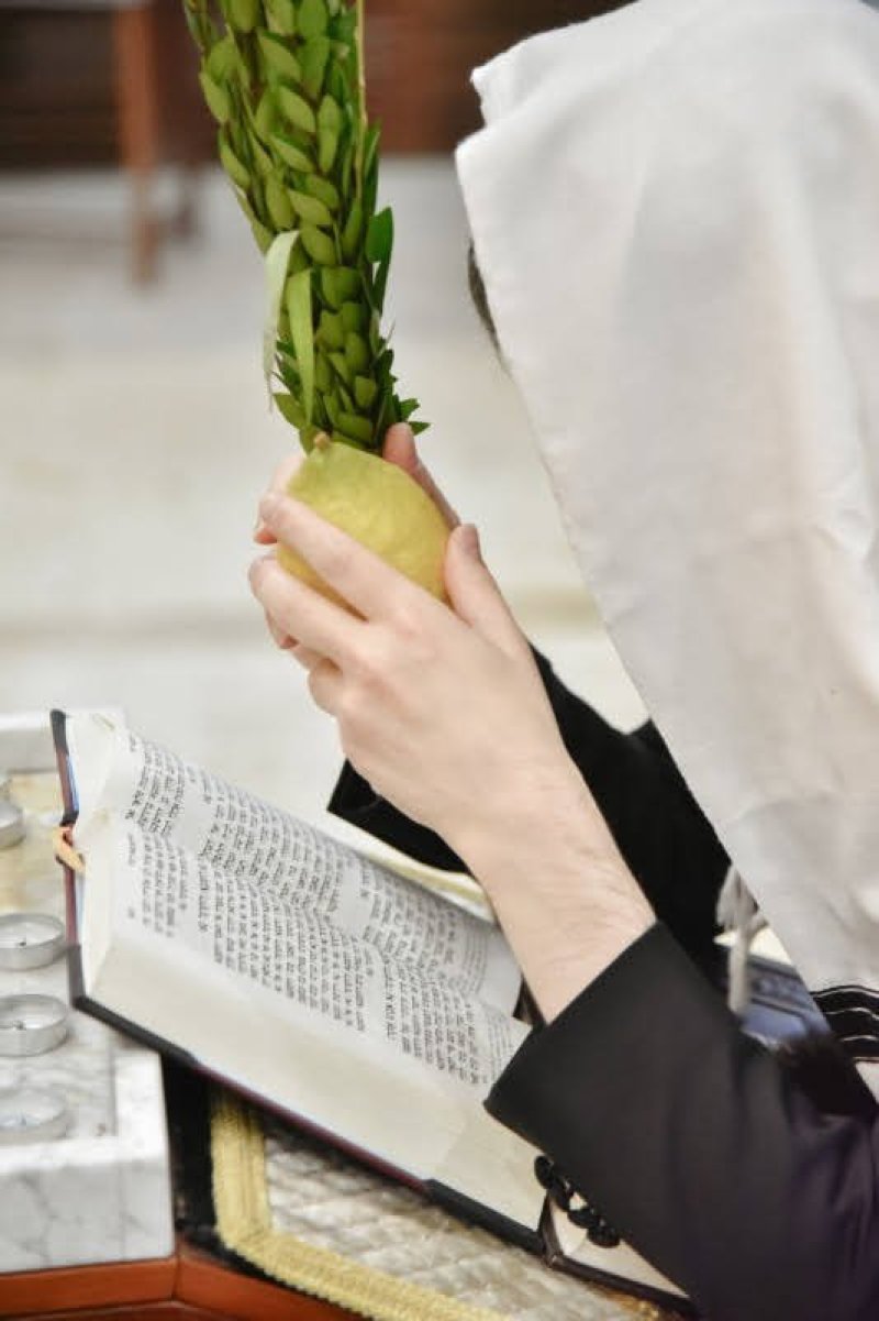 לוי נזארוב