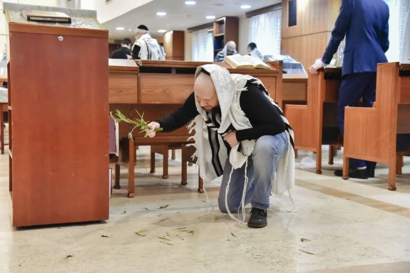 לוי נזארוב
