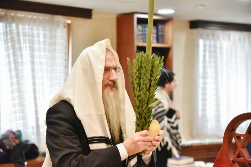 לוי נזארוב