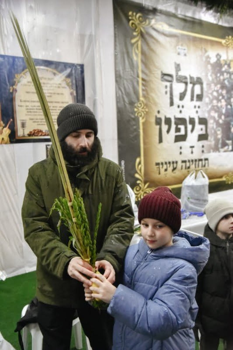לוי נזארוב