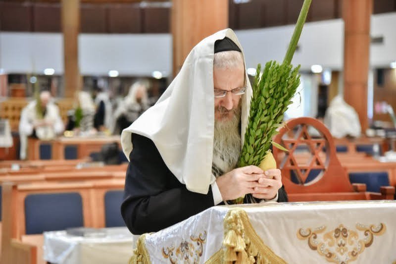 לוי נזארוב