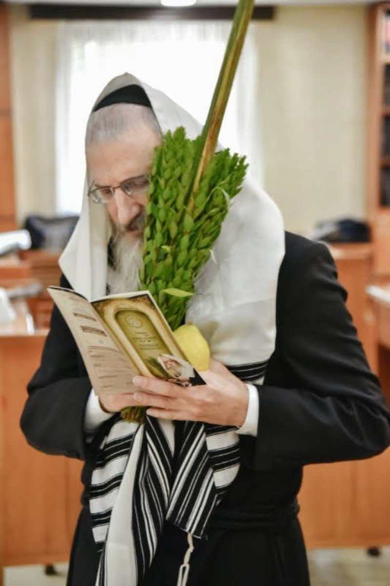 לוי נזארוב