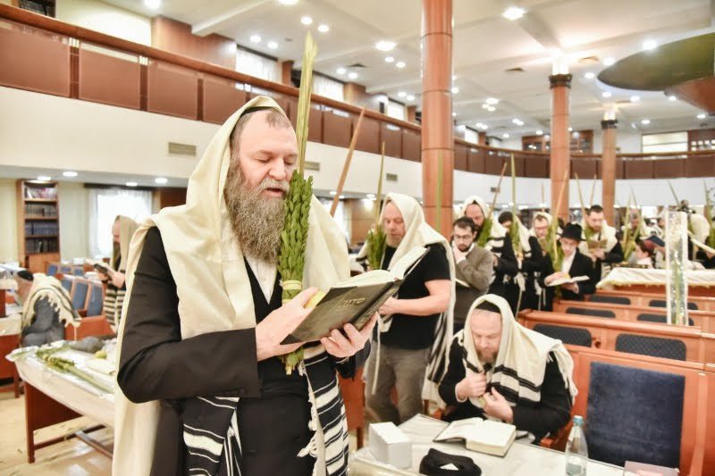 לוי נזארוב