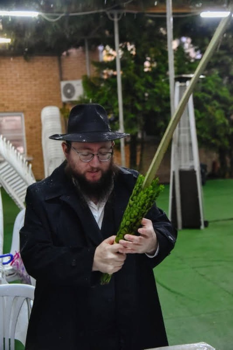 לוי נזארוב
