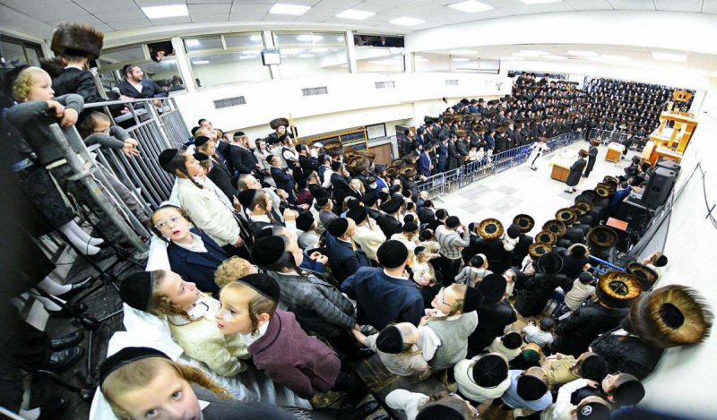 דוד ארזני וארי קופרשטוק