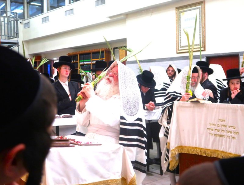 דוד ארזני וארי קופרשטוק