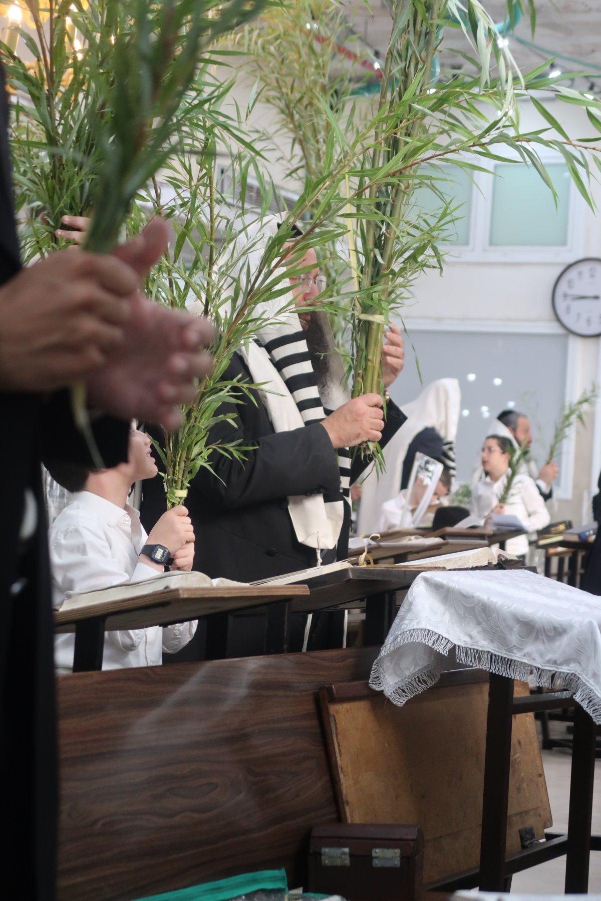 באדיבות המצלם