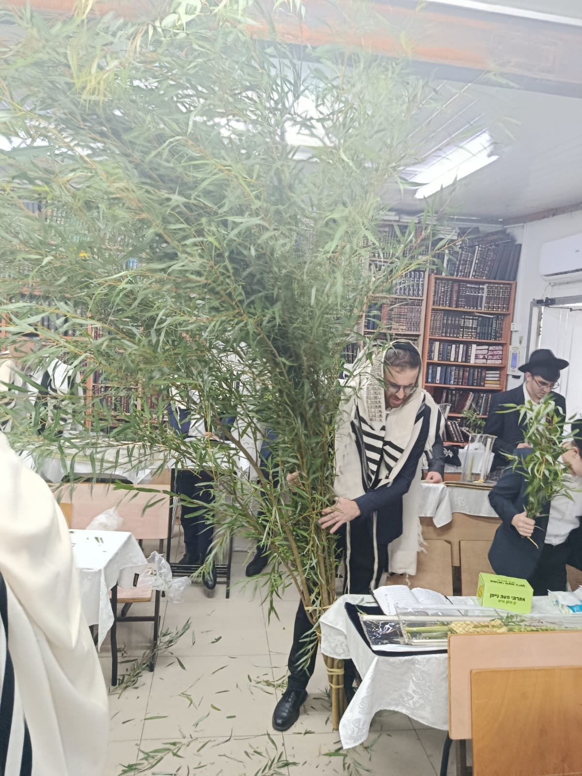 באדיבות המצלם