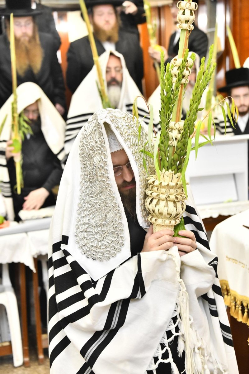 שוקי לרר