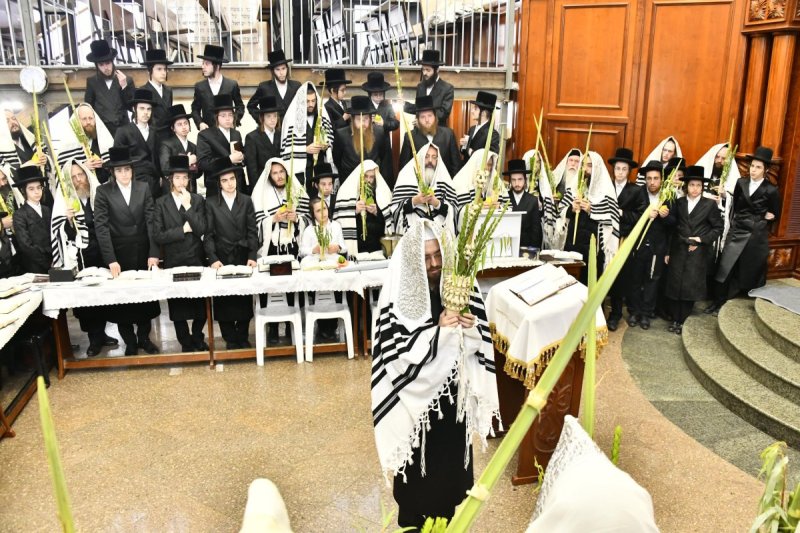 שוקי לרר
