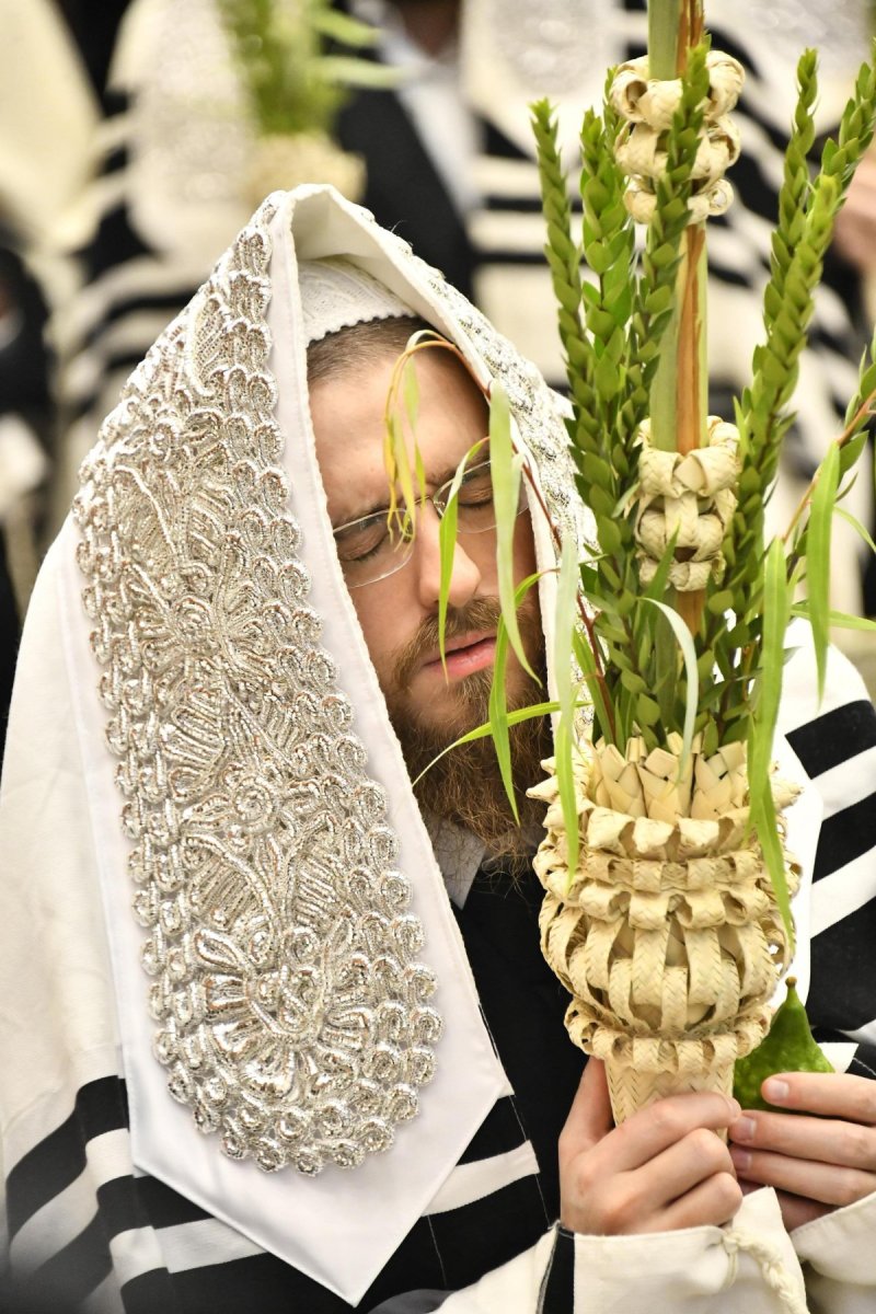 שוקי לרר