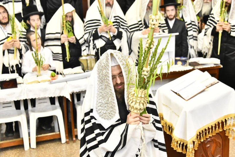 שוקי לרר