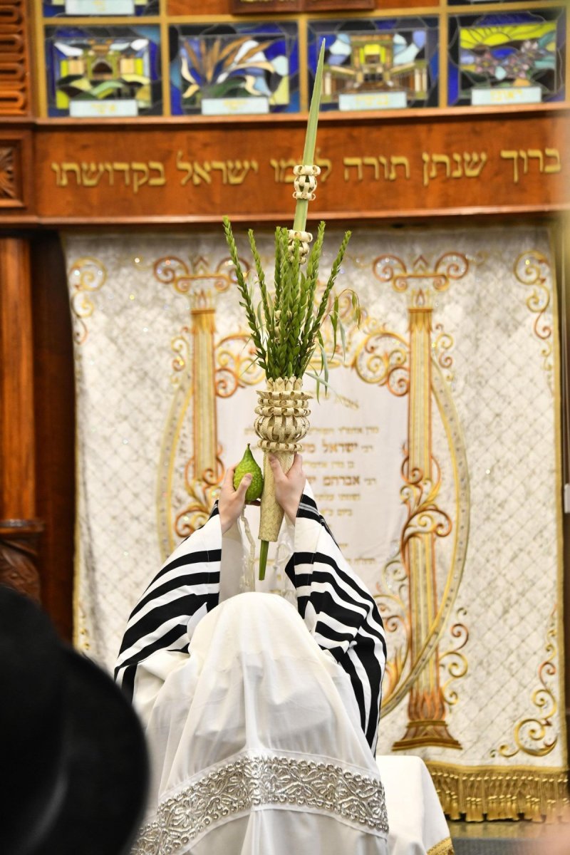 שוקי לרר