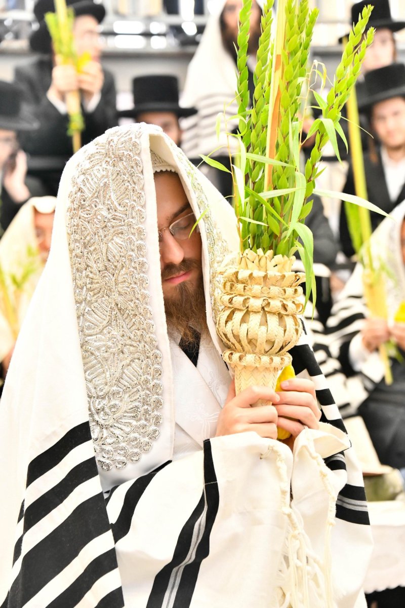 שוקי לרר