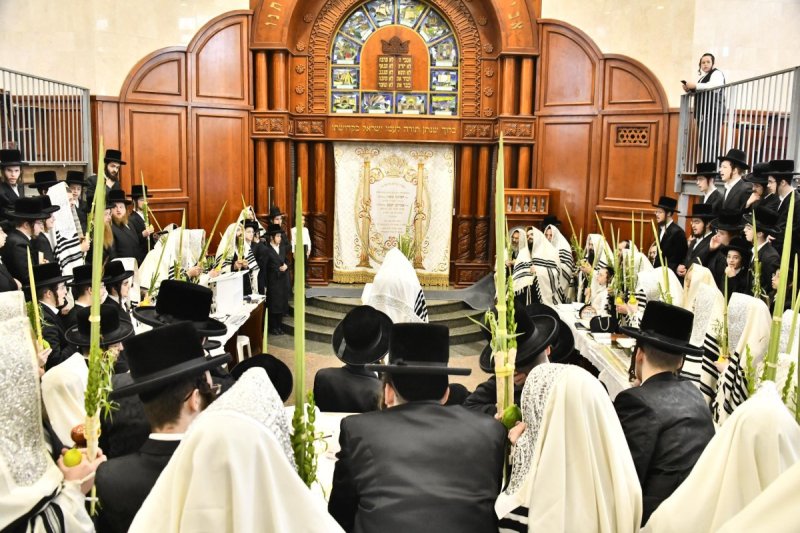 שוקי לרר