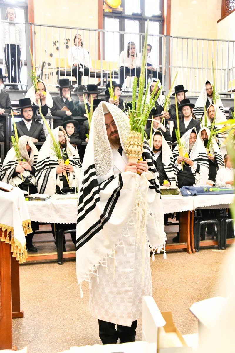 שוקי לרר