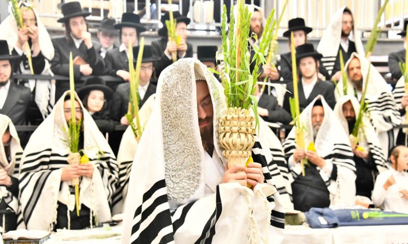 עבודת הנענועים ושמחת בית השואבה: חג הסוכות בחצר סאדיגורה