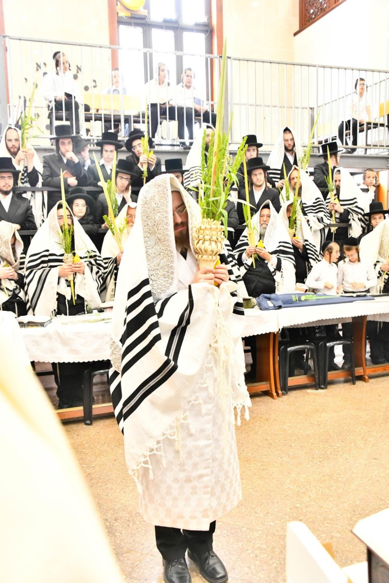 שוקי לרר