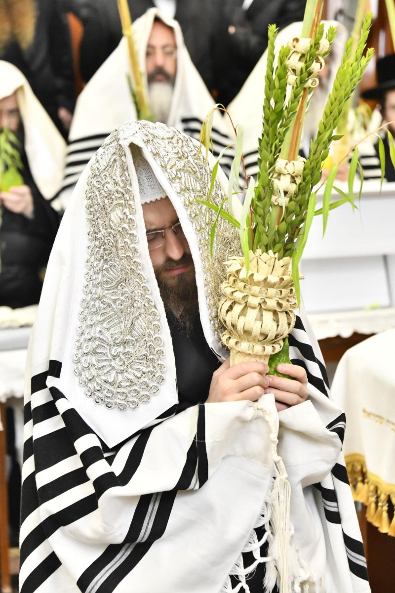 שוקי לרר