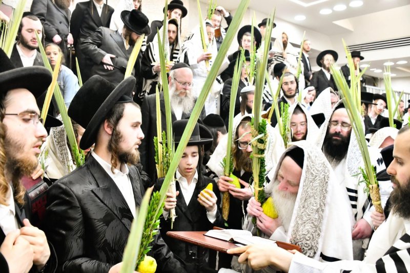 שוקי לרר