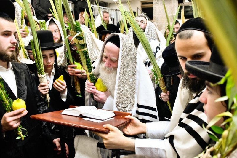 שוקי לרר